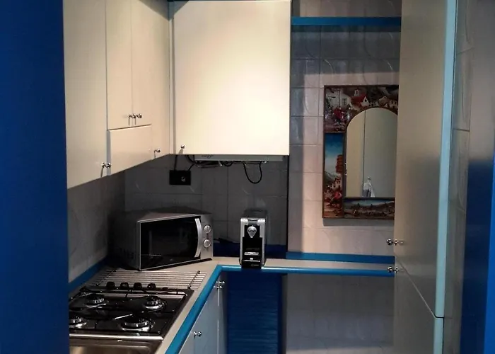 Fuori Portico Orso *